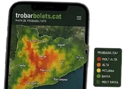 El mapa de bolets de Catalunya a la pantalla d'un mòbil, amb la llegenda de probabilitat